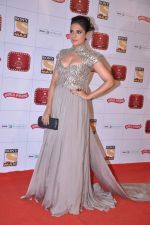 Richa Chadda at Stardust Awards 2013 red carpet in Mumbai on 26th jan 2013 (524).JPG
